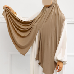 taupe 21 qt 50